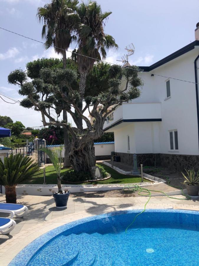 Villa Ludo A Zambrone Tropea 외부 사진